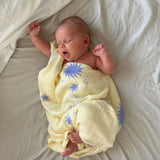 Sol Wrap