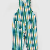 Evergreen Stripe Austin Denim Overalls