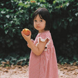 Daisy Dress - Red Check