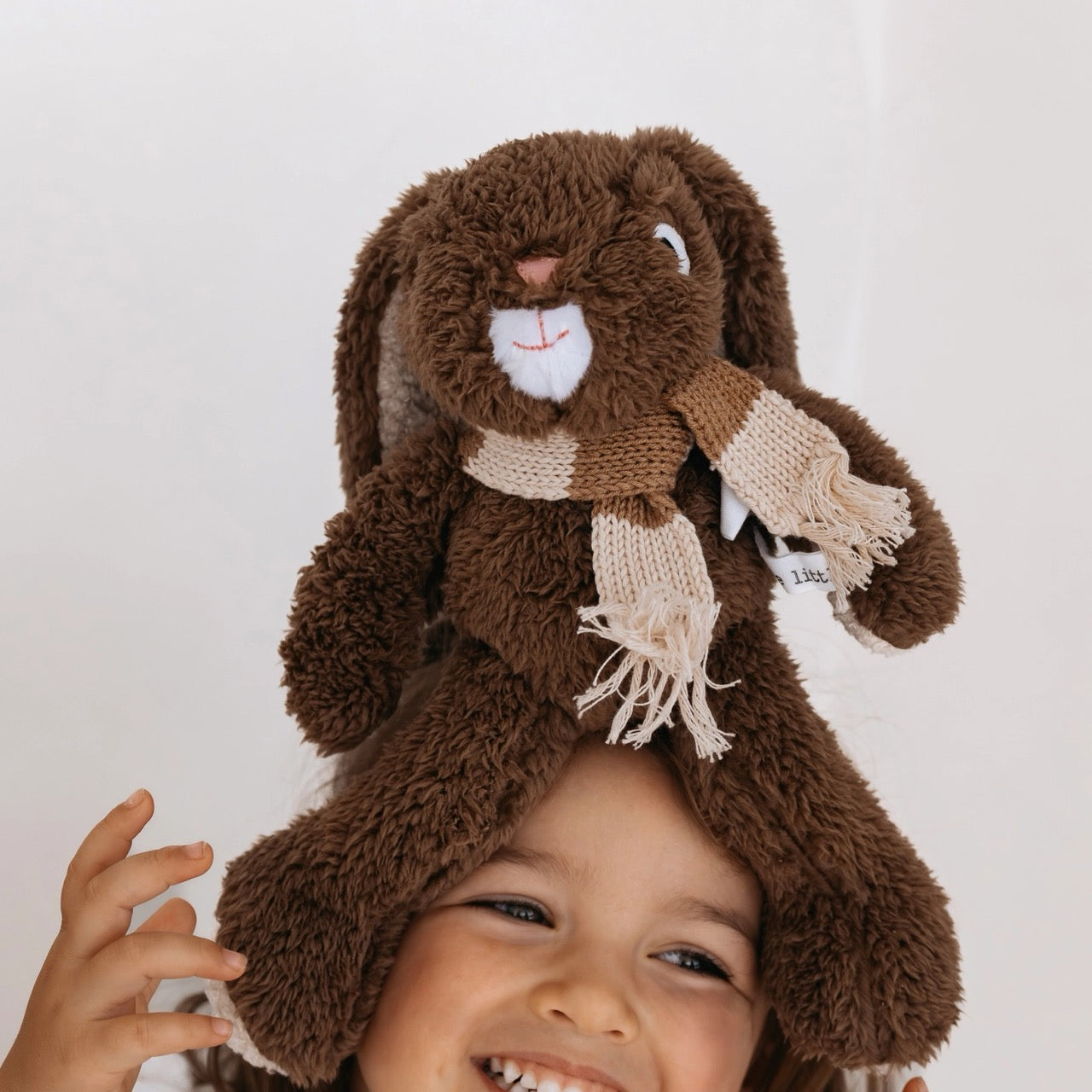 Medium Rabbit Teddy Frankie The Medium Rabbit – Hey Love