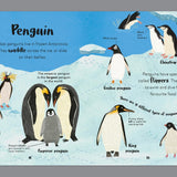 The Bedtime Book of Animals