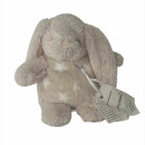 Sebastian the Bunny Cuddly Companion