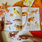 Australia: Country of Colour