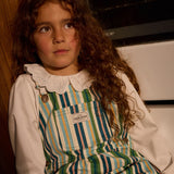 Evergreen Stripe Austin Denim Overalls