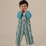 Evergreen Stripe Austin Denim Overalls