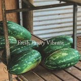 PIP | Large Amber Candle 500g | Watermelon / Cucumber / Basil