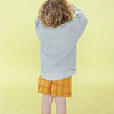 Plaid Shorts