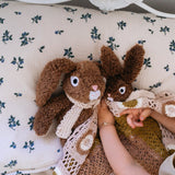 Frankie The Mini Rabbit