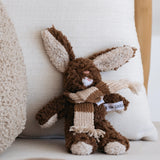 Frankie The Mini Rabbit
